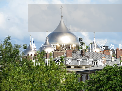 支付寶花唄逾期多久降信用分(支付寶逾期了信用分降了還會(huì)長(zhǎng)上去嗎)