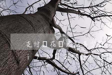 支付寶花唄逾期多少個(gè)月會(huì)上門(支付寶花唄借唄逾期兩個(gè)月會(huì)上門嗎)