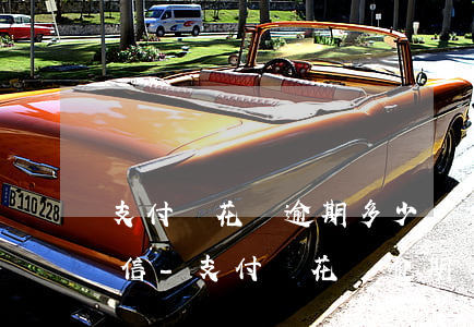 支付寶花唄逾期多少錢才會(huì)上征信-支付寶花唄逾期多少錢才會(huì)上征信報(bào)告