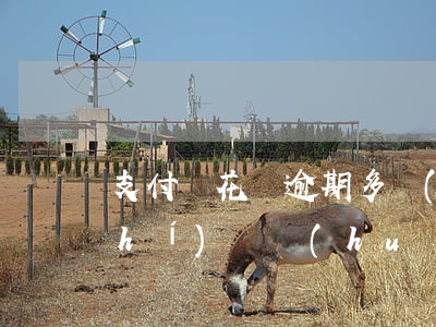 支付寶花唄逾期多長(zhǎng)時(shí)間會(huì)第三方催收-支付寶花唄逾期多長(zhǎng)時(shí)間會(huì)第三方催收