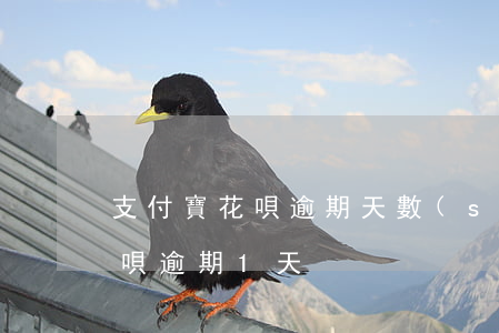 支付寶花唄逾期天數(shù)(支付寶的花唄逾期1天)