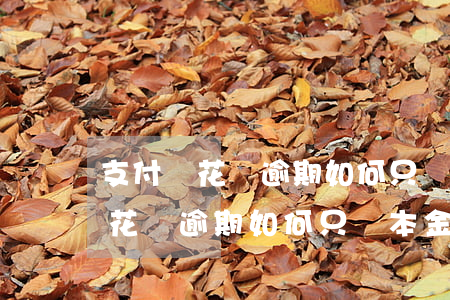 支付寶花唄逾期如何只還本金處理-支付寶花唄逾期如何只還本金處理呢