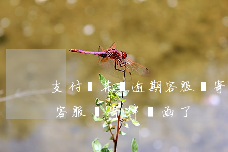 支付寶花唄逾期客服說寄-支付寶花唄逾期客服說寄律師函了
