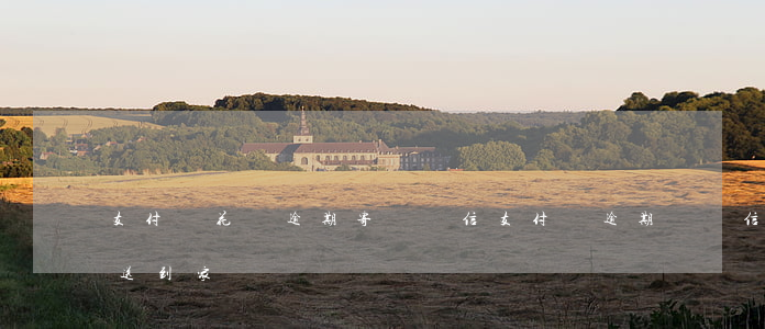 支付寶花唄逾期寄掛號信（支付寶逾期掛號信送到家）