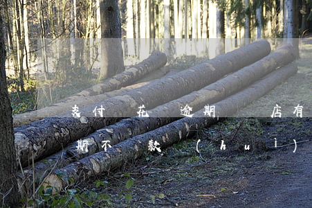 支付寶花唄逾期對開店有影響嗎 花唄借唄逾期不還款會(huì)影響淘寶店鋪嗎?