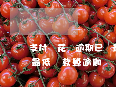 支付寶花唄逾期已還最低額度(支付寶花唄還最低還款算逾期嗎)