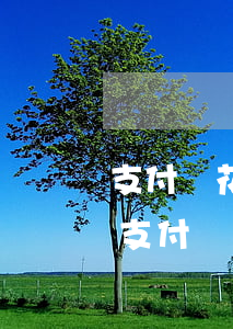 支付寶花唄逾期已還清但是催收要求還清-支付寶花唄逾期已還清但是催收要求還清怎么辦