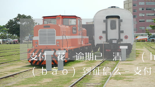 支付寶花唄逾期已還清還會(huì)上報(bào)到征信么?-支付寶花唄逾期已還清還會(huì)上報(bào)到征信么