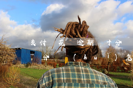 支付寶花唄逾期幾十分鐘有影響嗎(花唄逾期幾分鐘會(huì)怎么樣)