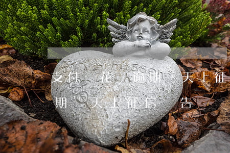 支付寶花唄逾期幾天上征信-支付寶花唄逾期幾天上征信報告