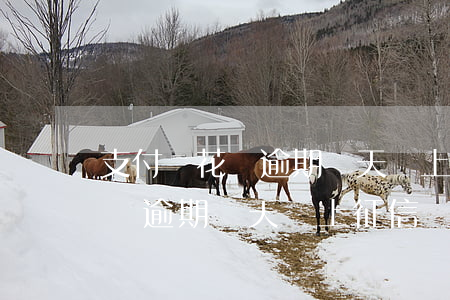支付寶花唄逾期幾天會上征信嗎-支付寶花唄逾期幾天會上征信嗎
