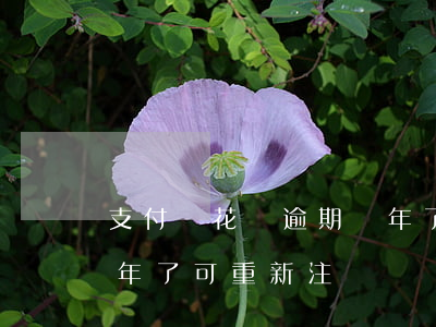 支付寶花唄逾期幾年了-支付寶花唄逾期幾年了,可重新注冊賬號不