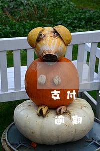支付寶花唄逾期影響借唄嗎(支付寶花唄 借唄逾期)