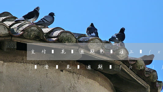 支付寶花唄逾期影響娃上學(xué) 支付寶借唄花唄逾期會(huì)影響孩子讀書嗎