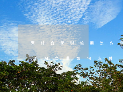 支付寶花唄逾期怎么修復(fù)(花唄逾期了淘寶還如何支付)