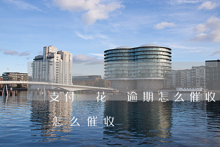 支付寶花唄逾期怎么催收-支付寶花唄逾期怎么催收電話
