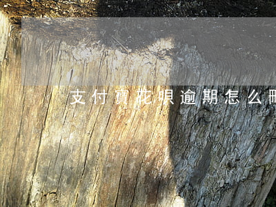 支付寶花唄逾期怎么刪除負(fù)面記錄