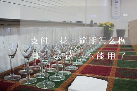 支付寶花唄逾期怎么恢復(fù)(支付寶逾期幾天花唄,不能用了,還了立刻恢復(fù)嗎?)