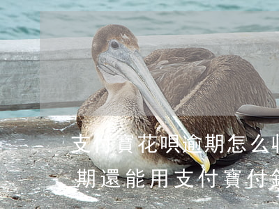 支付寶花唄逾期怎么收費(fèi)(花唄逾期還能用支付寶付錢(qián)嗎)