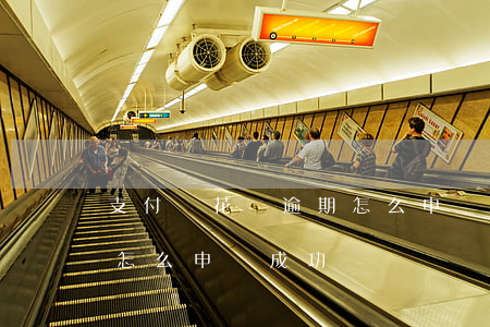 支付寶花唄逾期怎么申訴-支付寶花唄逾期怎么申訴成功