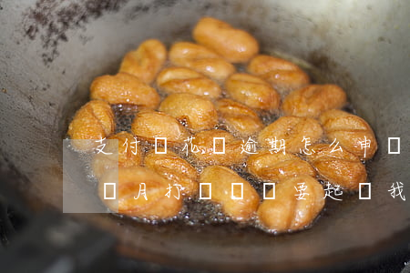 支付寶花唄逾期怎么申訴(支付寶花唄逾期3個月,打電話說要起訴我了)