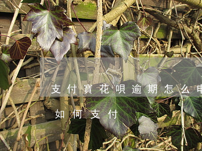 支付寶花唄逾期怎么申述(花唄逾期了淘寶還如何支付)