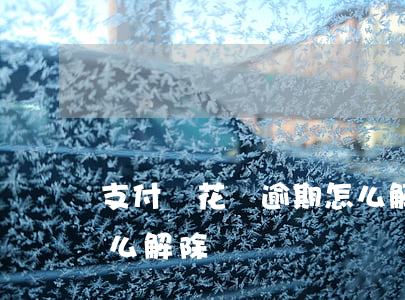 支付寶花唄逾期怎么解-支付寶花唄逾期怎么解除