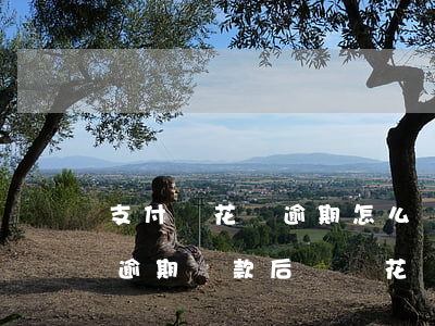 支付寶花唄逾期怎么設(shè)置(支付寶逾期還款后螞蟻花唄關(guān)閉了怎么辦啊)