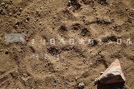 支付寶花唄逾期怎么辦(花唄逾期了淘寶還如何支付)