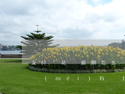 支付寶花唄逾期怎么辦錢(qián)還是沒(méi)有還上-支付寶花唄逾期怎么辦錢(qián)還是沒(méi)有還上的