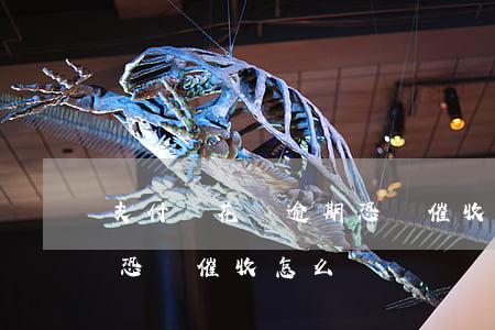 支付寶花唄逾期恐嚇催收-支付寶花唄逾期恐嚇催收怎么辦