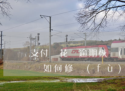 支付寶花唄逾期恢復(fù)使用(支付寶花唄如何修復(fù)逾期)