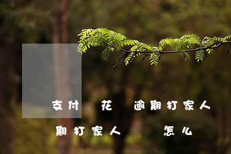 支付寶花唄逾期打家人電話-支付寶花唄逾期打家人電話怎么辦