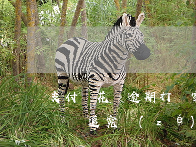 支付寶花唄逾期打給家屬(花唄逾期有人打電話說追究責(zé)任怎么辦)