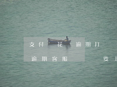 支付寶花唄逾期打電話說要走訪（支付寶花唄逾期客服來電說要上報(bào)）