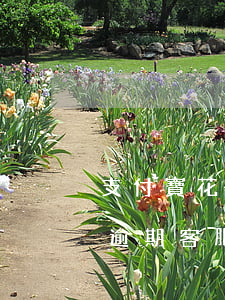 支付寶花唄逾期打電話說要走訪（支付寶花唄逾期客服來電說要上報）