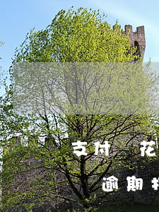 支付寶花唄逾期打電話說要面談-支付寶花唄逾期打電話說要面談是真的嗎