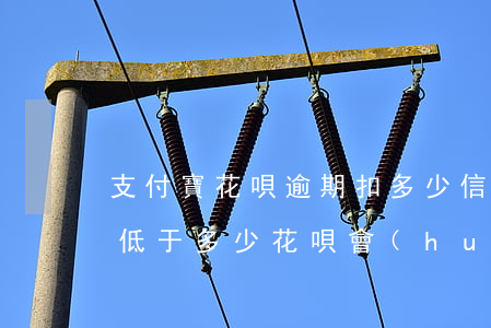 支付寶花唄逾期扣多少信用分(支付寶信用分低于多少花唄會(huì)被關(guān)閉)