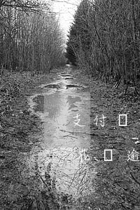 支付寶花唄逾期找誰(shuí)-支付寶花唄逾期找誰(shuí)協(xié)商