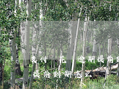 支付寶花唄逾期提前到期-支付寶花唄逾期提前到期怎么辦
