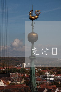 支付寶 花唄 逾期（支付寶花唄逾期坐牢）