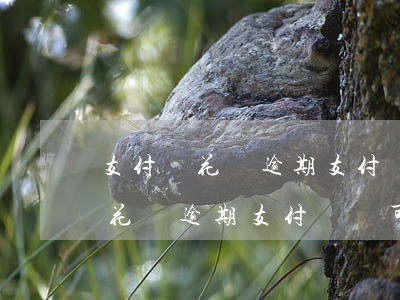 支付寶花唄逾期支付寶還可以用嗎-支付寶花唄逾期支付寶還可以用嗎安全嗎