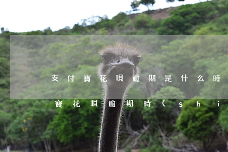 支付寶花唄逾期是什么時(shí)候(支付寶花唄逾期時(shí)間)