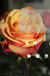支付寶花唄逾期是怎么樣的-支付寶花唄逾期是怎么樣的情況