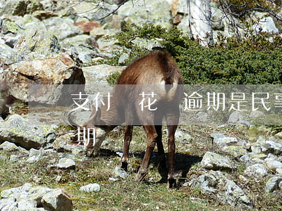 支付寶花唄逾期是民事糾紛嗎(支付寶 花唄 逾期)