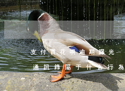 支付寶花唄逾期曝光-支付寶花唄逾期曝光通訊錄屬于什么行為?