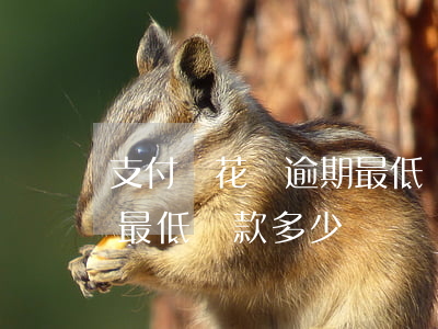 支付寶花唄逾期最低還款-支付寶花唄逾期最低還款多少