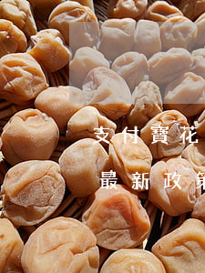 支付寶花唄逾期最新政策-支付寶花唄逾期最新政策是什么