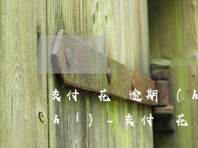支付寶花唄逾期會(huì)上門核實(shí)-支付寶花唄逾期上門核實(shí)違規(guī)嗎