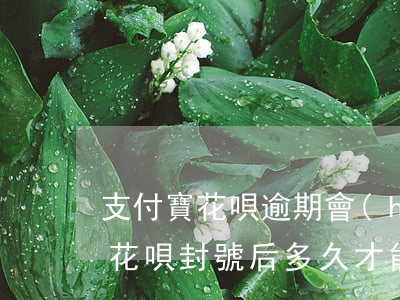 支付寶花唄逾期會(huì)封號嗎(支付寶花唄封號后多久才能恢復(fù)正常?)